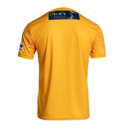 home gk shirt 2.jpg