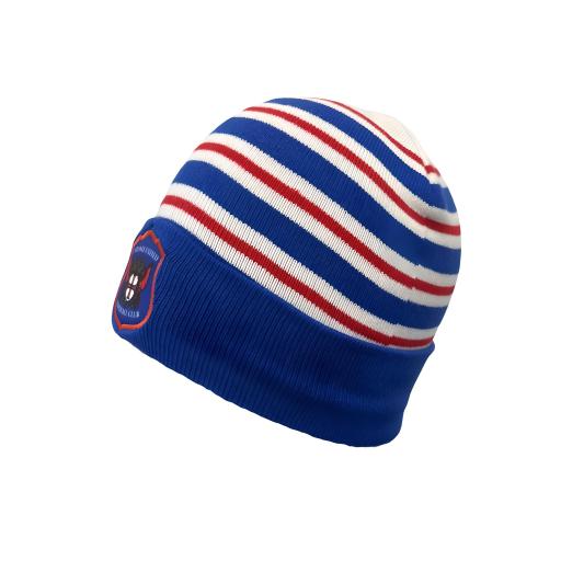 white blue striped beanie (1).png