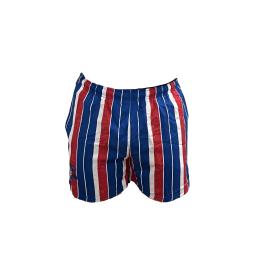 deckchair swimming shorts (1).png