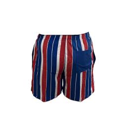 deckchair swimming shorts 2 (1).png