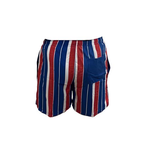 deckchair swimming shorts 2 (1).png