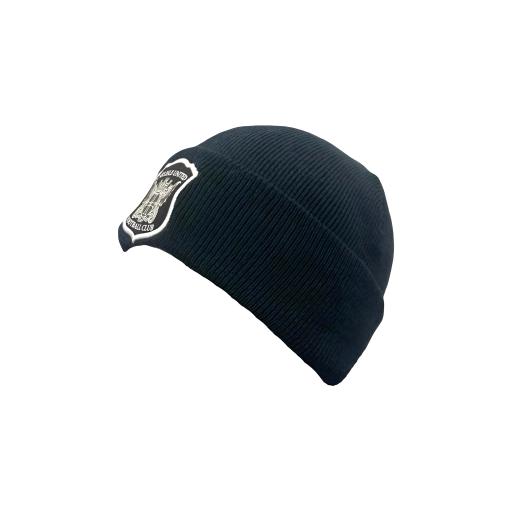 polyana beanie 2 (1).png