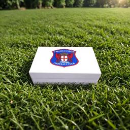 white mystery box.png