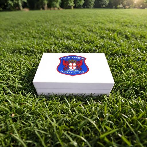 white mystery box.png