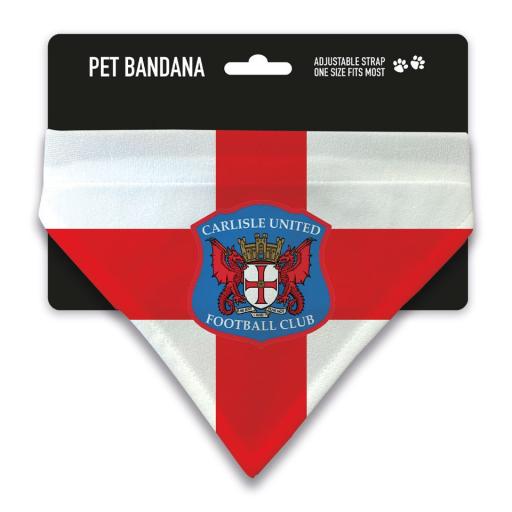 england pet bandana.jpg