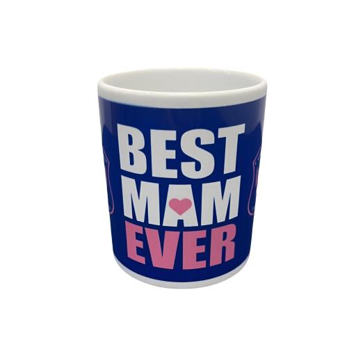 best mam mug 2 (1).png