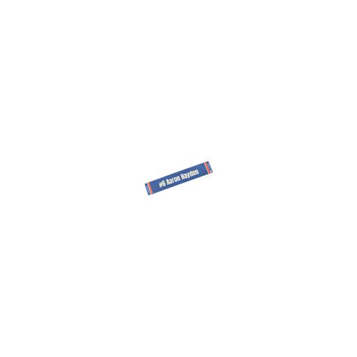 aaron hayden.png